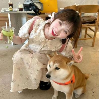 梦幻书院第六季