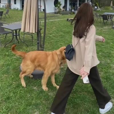 誓言永恒